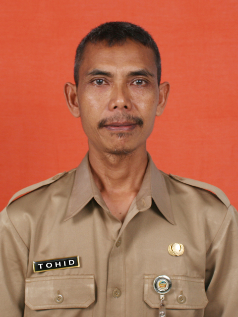 Tohid